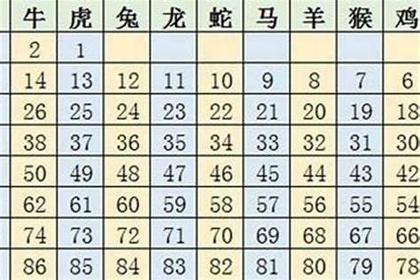 生肖年齡2023|2023年十二生肖号码表完整版 属相岁数年龄查询对照。